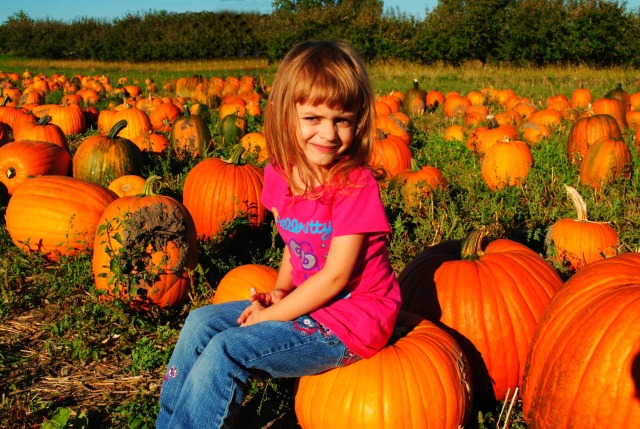 Mackenzie and the pumpkins